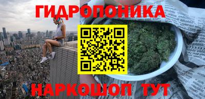 марихуана Заводоуковск