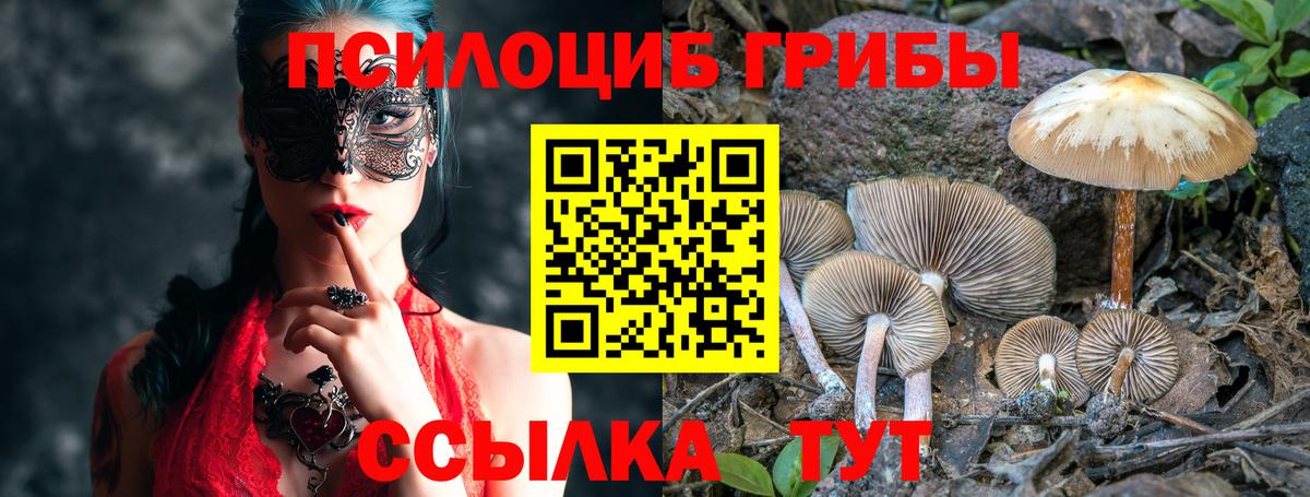 Псилоцибиновые грибы GOLDEN TEACHER  Галлюциногенные грибы Magic Shrooms  Вход с VPN  Кызыл 