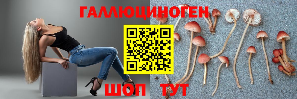 Псилоцибиновые грибы MAGIC MUSHROOMS  Псилоцибиновые грибы Cubensis  Кызыл 